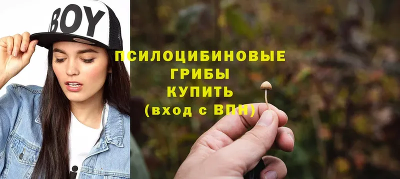 Галлюциногенные грибы MAGIC MUSHROOMS  Ногинск 